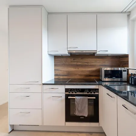 Stilvolle Wohnung Im Kanton Zuerich! Winterthur Esterno foto